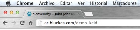 Así queda nuestro favicon en una web real. Al tener el fondo transparente, se integra perfectamente en el navegador.