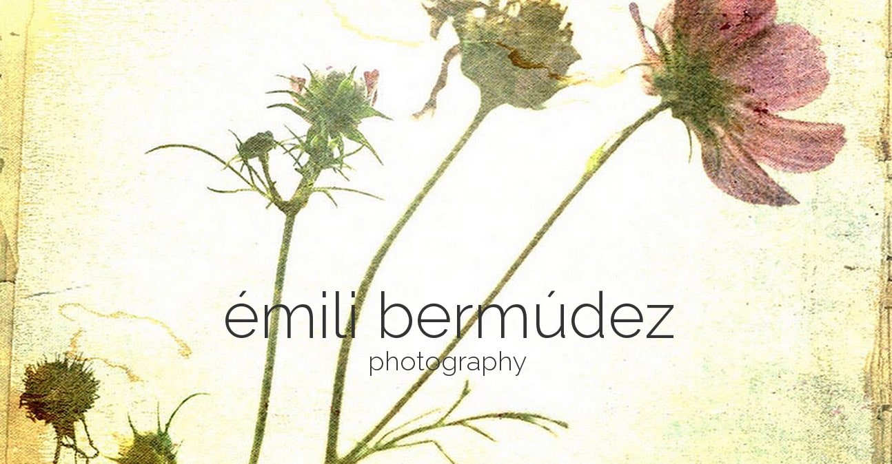 Emili Bermudez photography