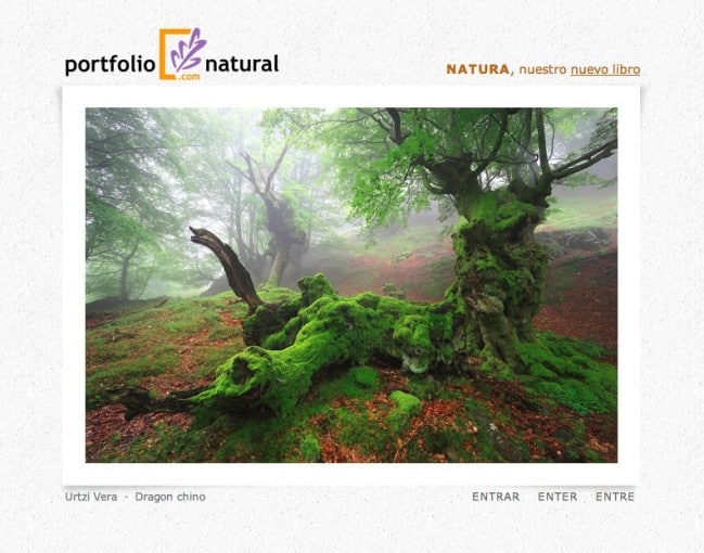 La nueva web de Portfolio Natural