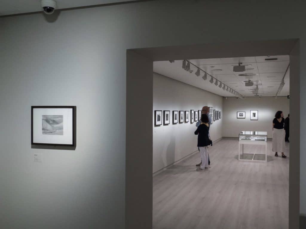 Visitantes a la exposición La materia de las formas, de Edward Weston