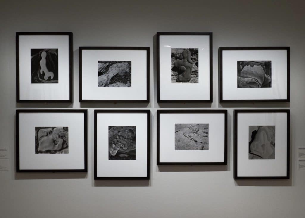 Visitantes a la exposición La materia de las formas, de Edward Weston