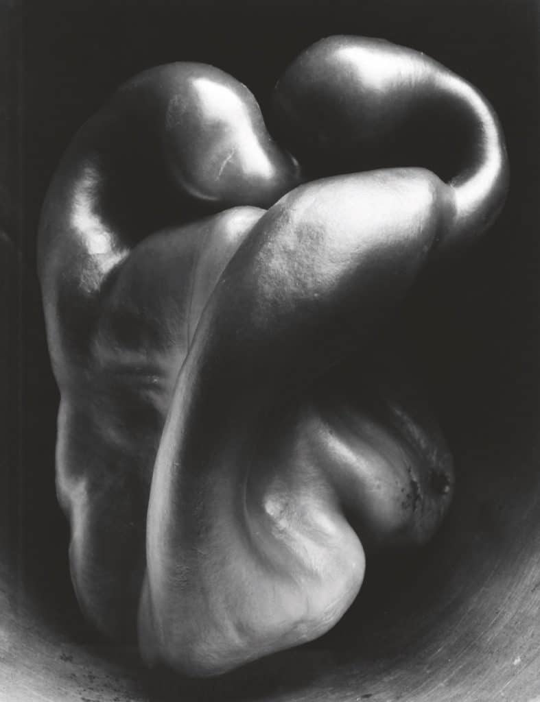 Pimiento núm. 30 / 1930, de Edward Weston