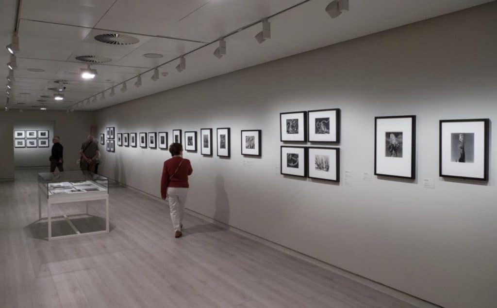 Visitantes a la exposición La materia de las formas, de Edward Weston