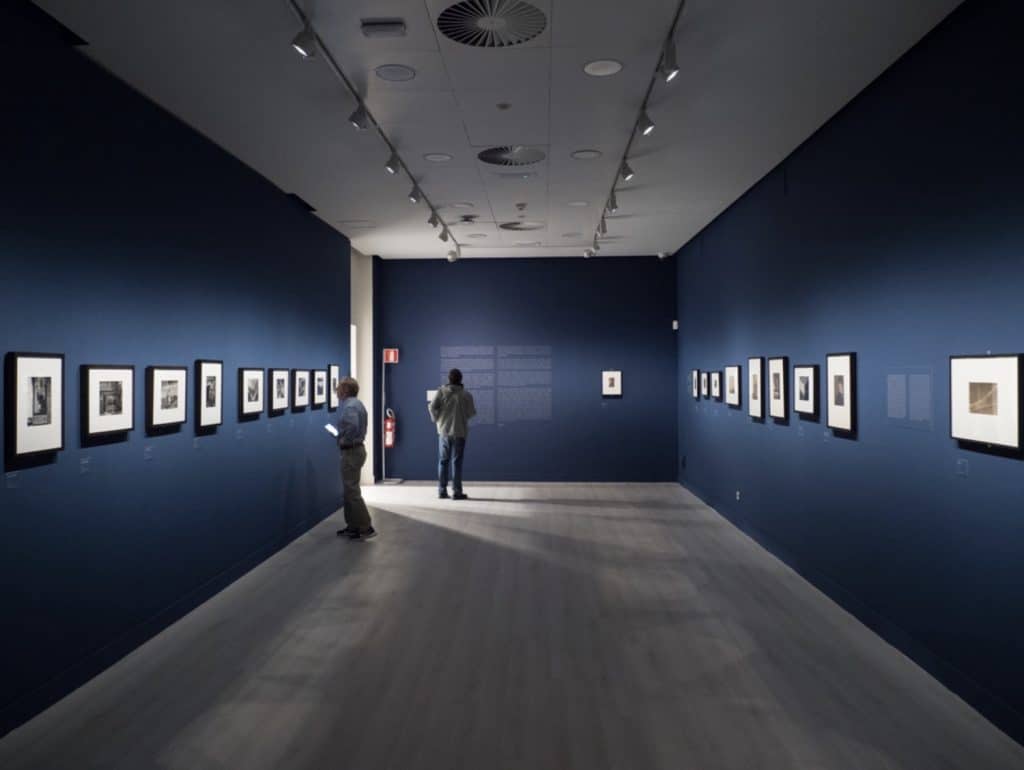 Visitantes a la exposición La materia de las formas, de Edward Weston