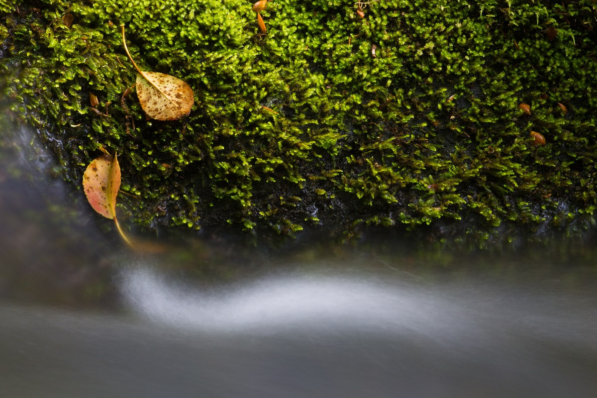 Image that includes a copyright notice in its caption to protect it from unauthorized use.