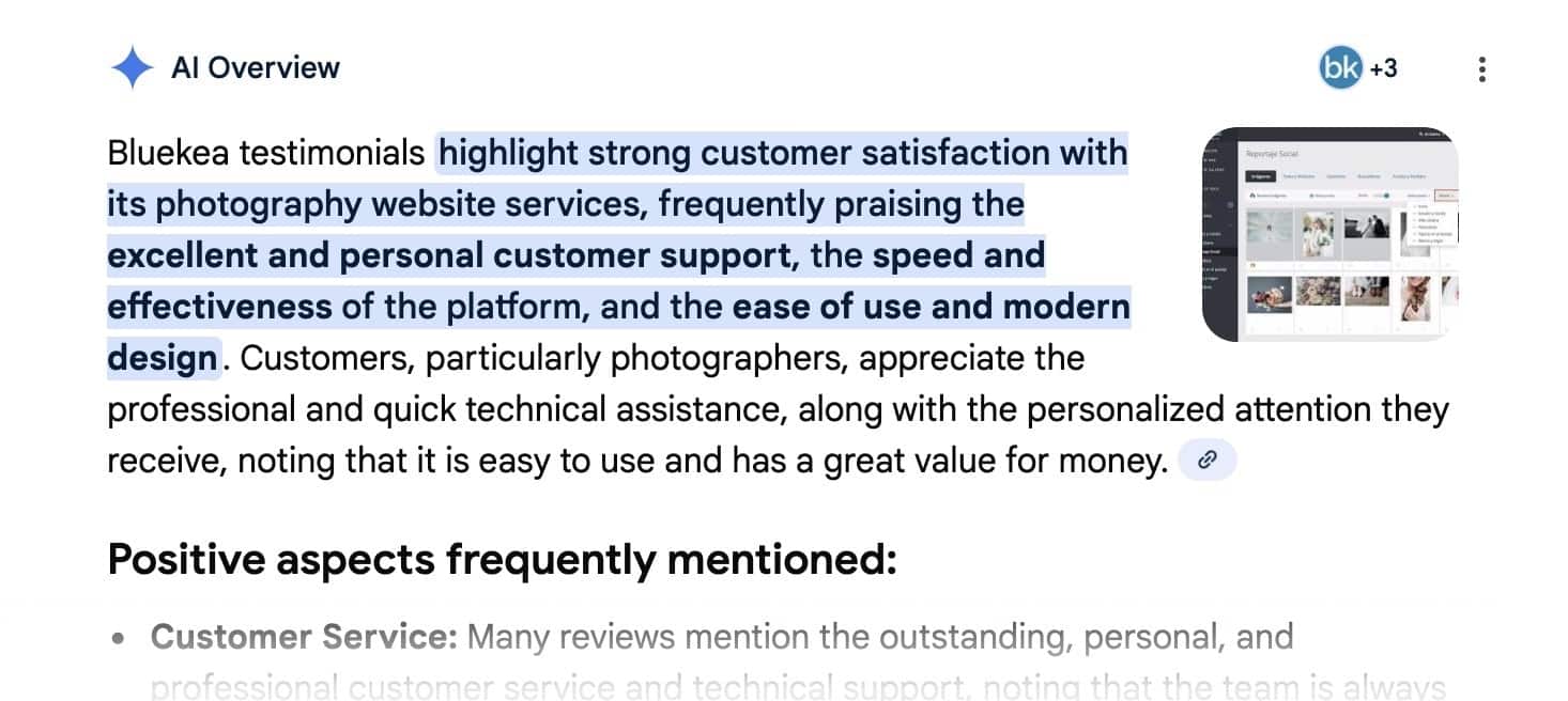 View of an AI extract on Google results for a search for opinions.