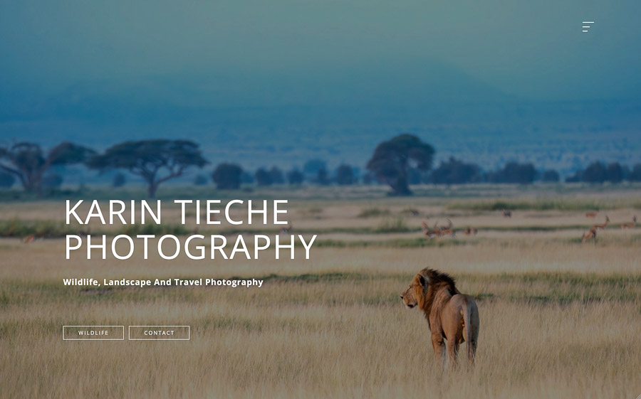website created with the template Karin Tieche by Bluekea