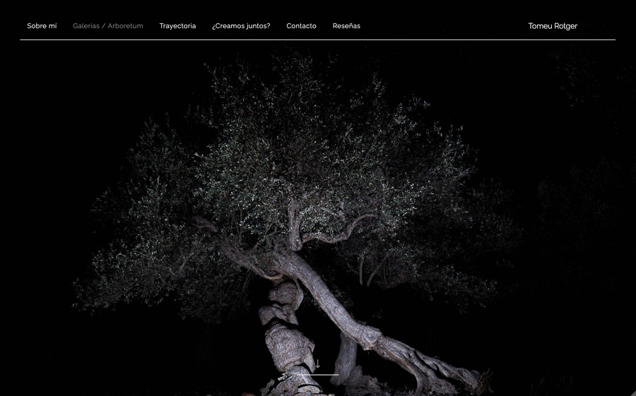 web creada con el diseño Tomeu Rotger web creada con el diseño