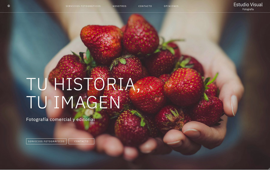 web creada con el diseño Aoshima web creada con el diseño