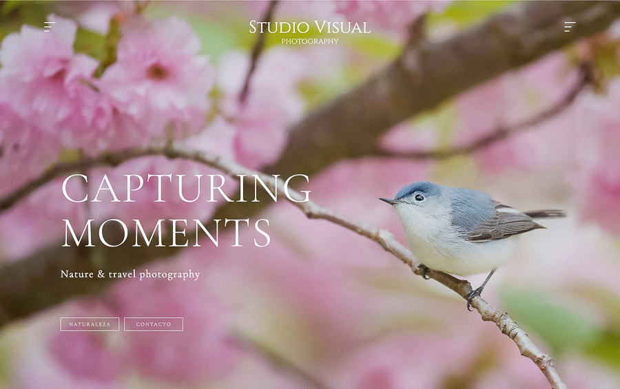 website created with the template Hakkoda website created with the template