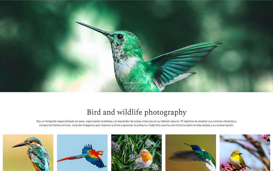 website created with the template Mugi website created with the template