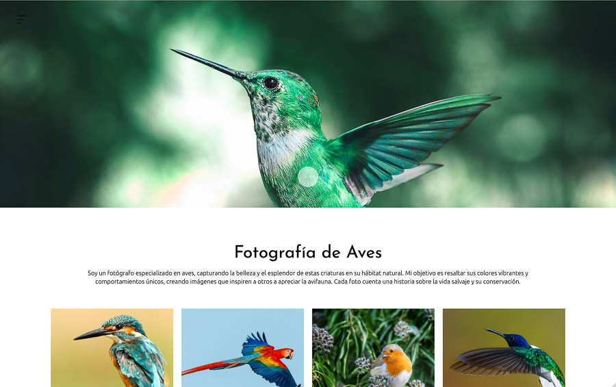 web creada con el diseño Mugi web creada con el diseño